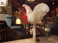 -杂咖zacup(领展中心城店)