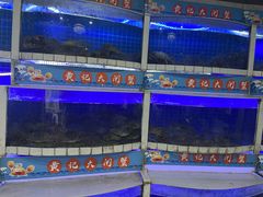 -黄记大闸蟹专卖店·活蟹·醉蟹