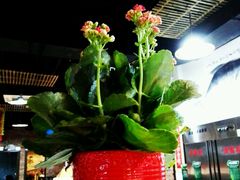 android_upload_pic-好灶头妈妈菜·柴火灶台鱼·千岛湖土菜地标美食