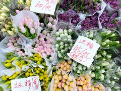 -循礼门鲜花花市(武汉循礼门店)