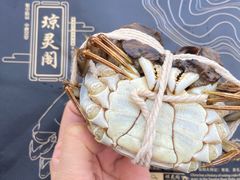 -阳澄湖大闸蟹·琼灵阁牌品牌连锁(吴中总店)