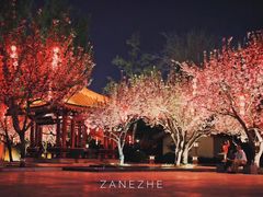 -大雁塔北广场音乐喷泉