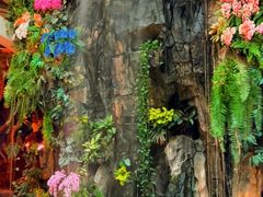 -正佳雨林生态植物园