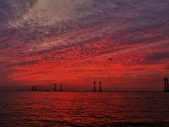 -宝安西湾红树林湿地公园