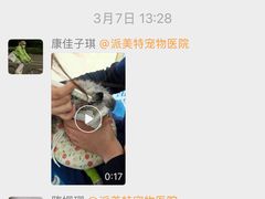 -派美特宠物医院·核磁CT·骨科肿瘤·疑难转诊(沈农禾丰店)