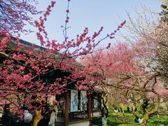 -杭州植物园