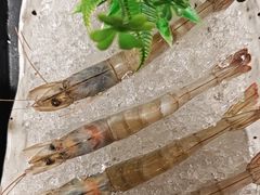 明虾-空之介寿喜烧·和牛放题(恒隆广场店)