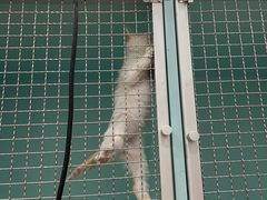 -荔康动物医院(康王北路店)