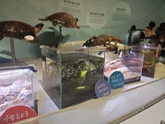 -中国湿地博物馆