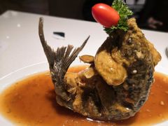 糖醋鲤鱼-闫府私房菜·百年鲁菜(恒隆店)