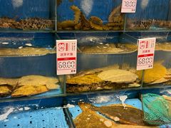 -添福来墨鱼饺子 · 海鲜东北菜(大连星海·黄浦路店)