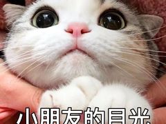 -大藏村拉面(保利首开·熙悦春天店)