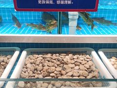 -芝小官牛肉火锅烤肉自助(淮安清江浦区新亚店)
