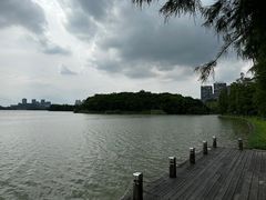 -顺峰山公园