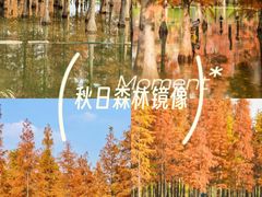 -白鹭湾湿地公园