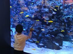 -成都浩海立方海洋公园