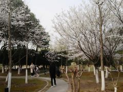 -江南大学(蠡湖校区)