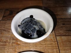 -东鸽皇(奥园·中环广场店)