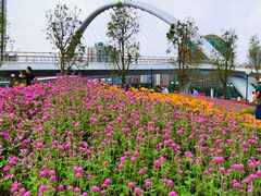 -二沙岛艺术公园