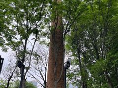 -杭州城北体育公园