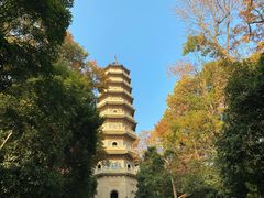 -灵谷景区
