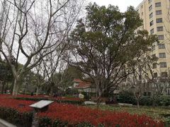 -徐家汇源景区-衡山公园