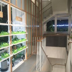 -悦诗风吟innisfree