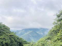 -广州市石门国家森林公园
