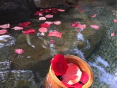 iphone_upload_pic-厦门日月谷温泉渡假村