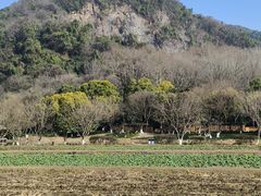 -八卦田遗址公园
