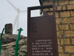 -东白山