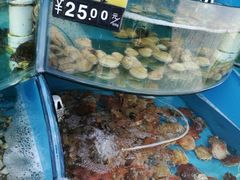 水产区-四海鲜渔家菜(黄金海岸店)