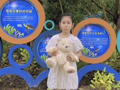 -广东惠东海龟国家级自然保护区