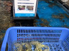 -盒马鲜生(曜一城店)