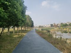 -两河城市森林公园