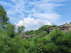 -中国唐苑