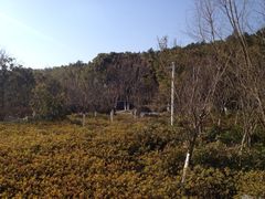iphone_upload_pic-苏州环秀晓筑养生度假村