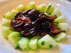 -上海和平饭店龙凤厅 Dragon Phoenix