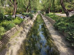 -菖蒲河公园
