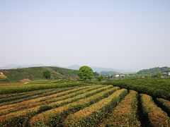 -午潮山国家森林公园