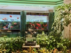 -成都世纪城假日酒店-西楼