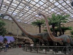 -国家自然博物馆