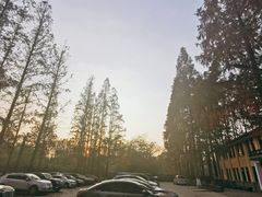 -T80科技文化国际社区-停车场