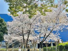 -IKEA宜家家居(南京商场)