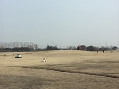 -漕湖湿地公园