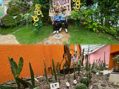 -正佳雨林生态植物园