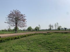 -汉长安城未央宫国家考古遗址公园