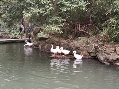 -兰亭风景区