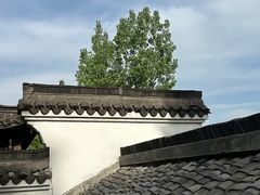 -日出青木