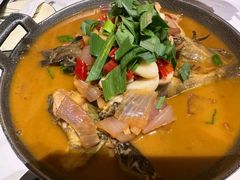 -阿露佳·舌尖上的安吉菜